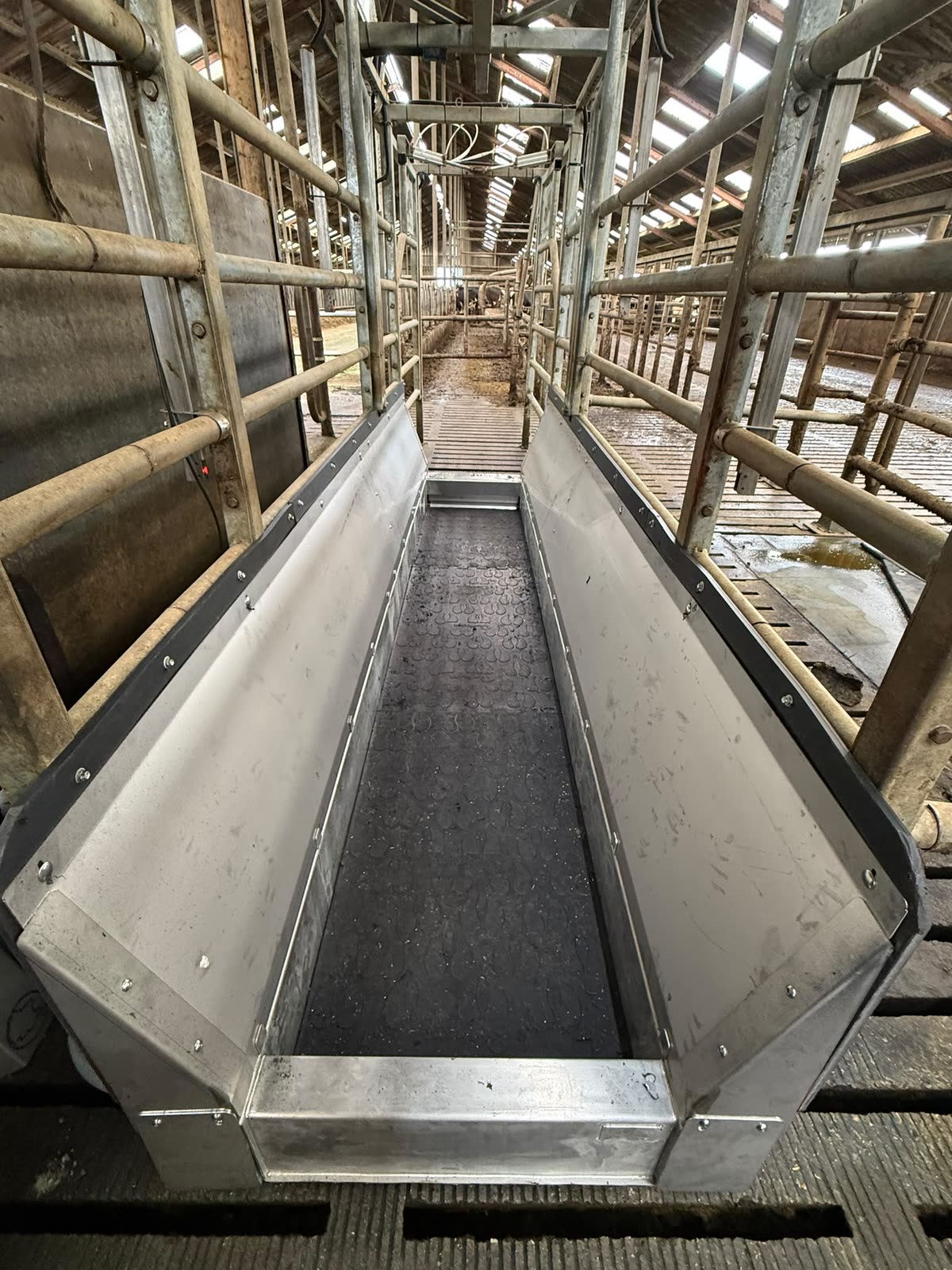Excel Footbath met roestvrijstalen zijpanelen in een melkveestal