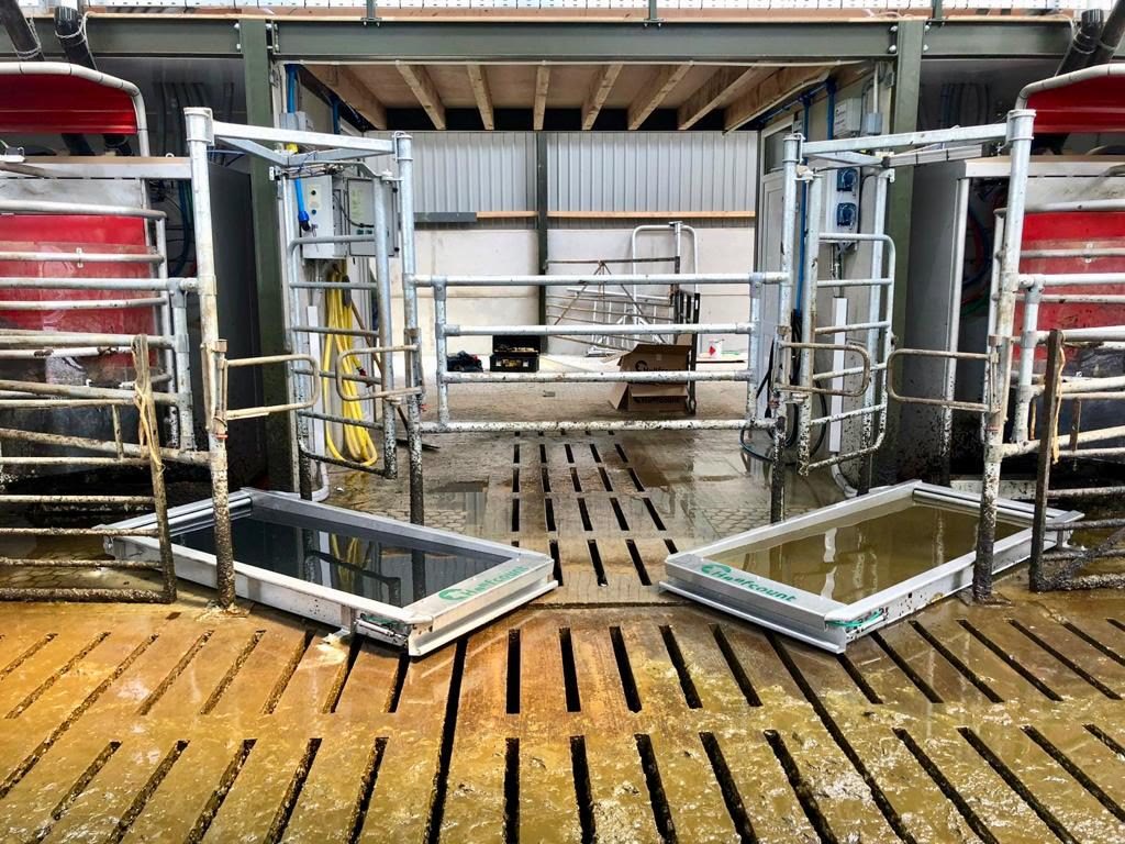 Twee Robot Footbaths in een melkrobotopstelling